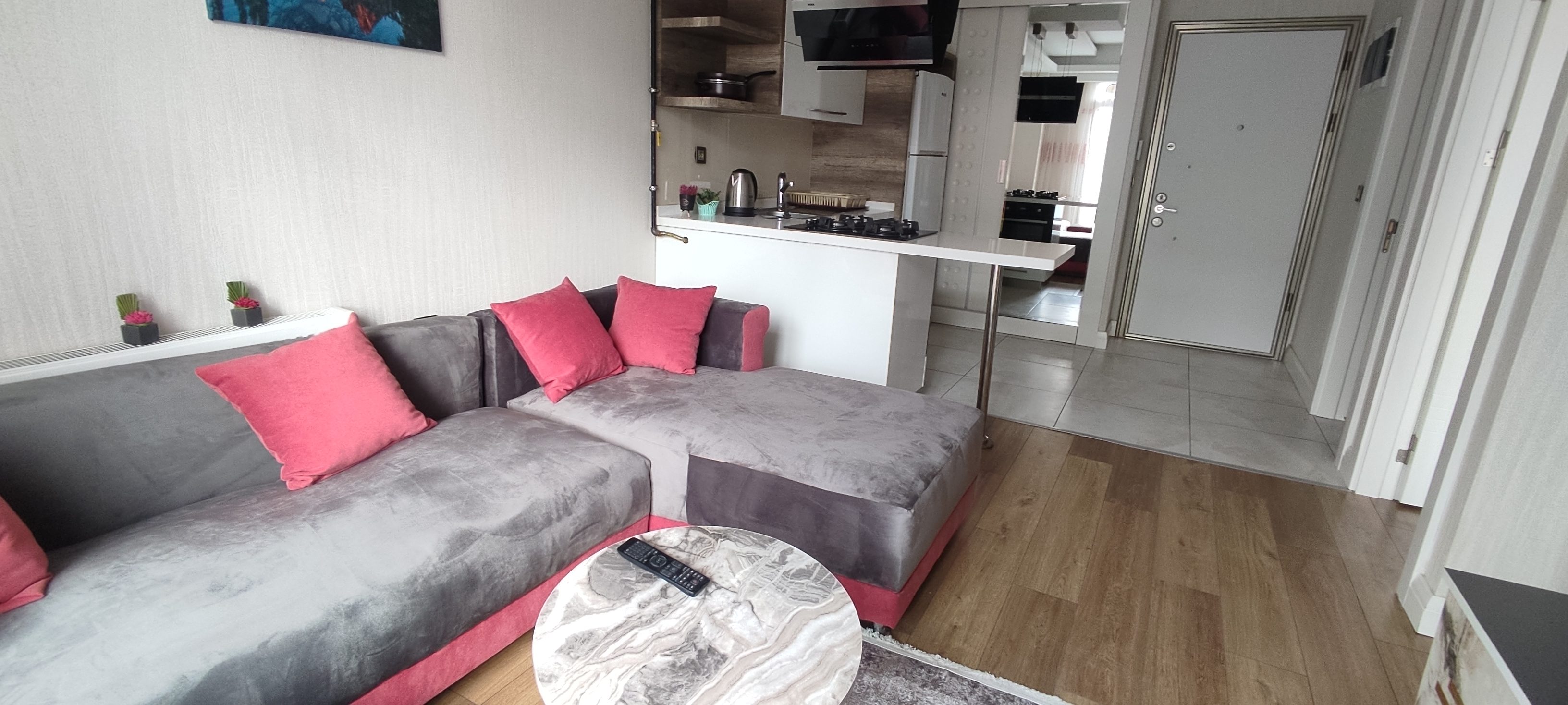 Luxe fully furnished apartment