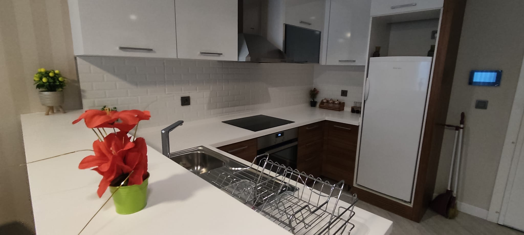 Fully furnished room and hall