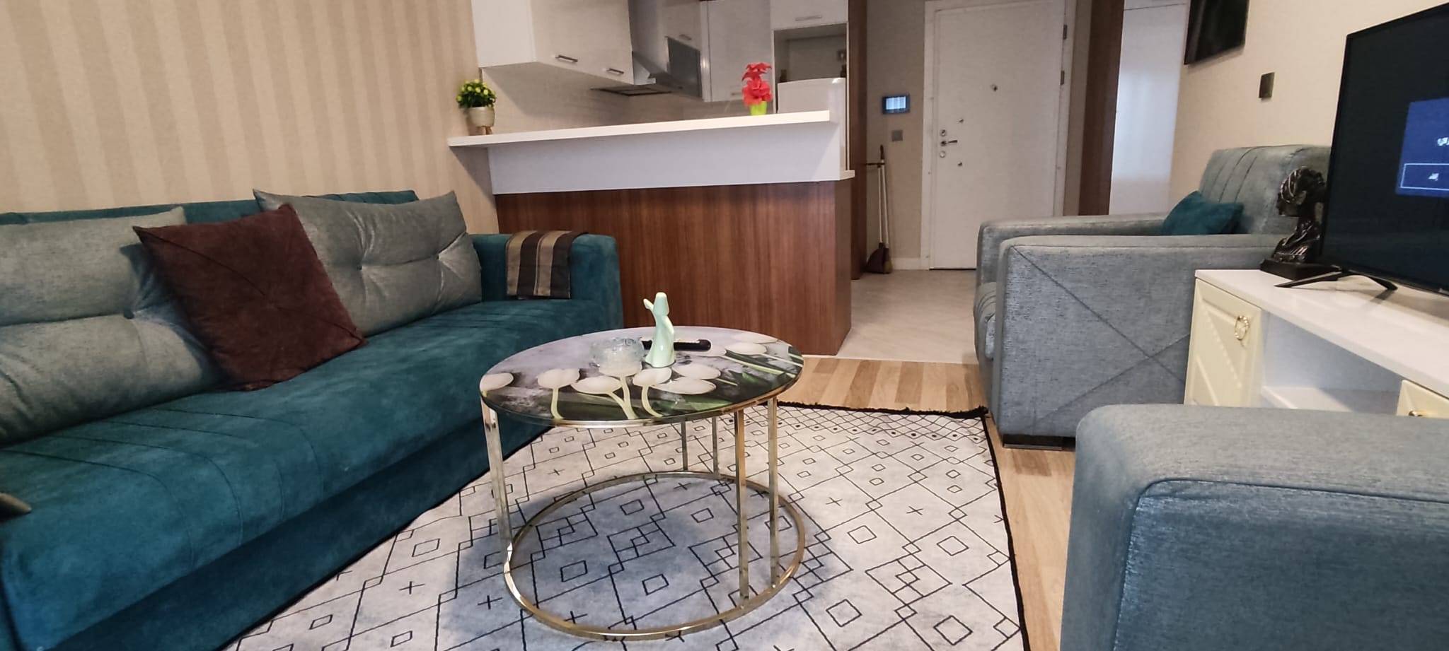 Fully furnished room and hall