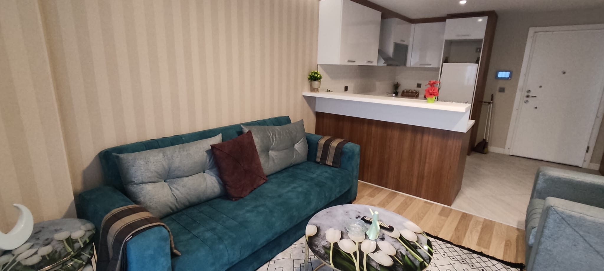 Fully furnished room and hall