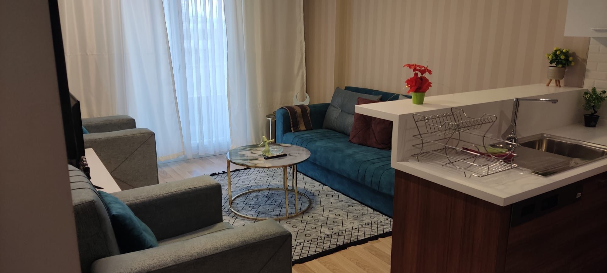 Fully furnished room and hall