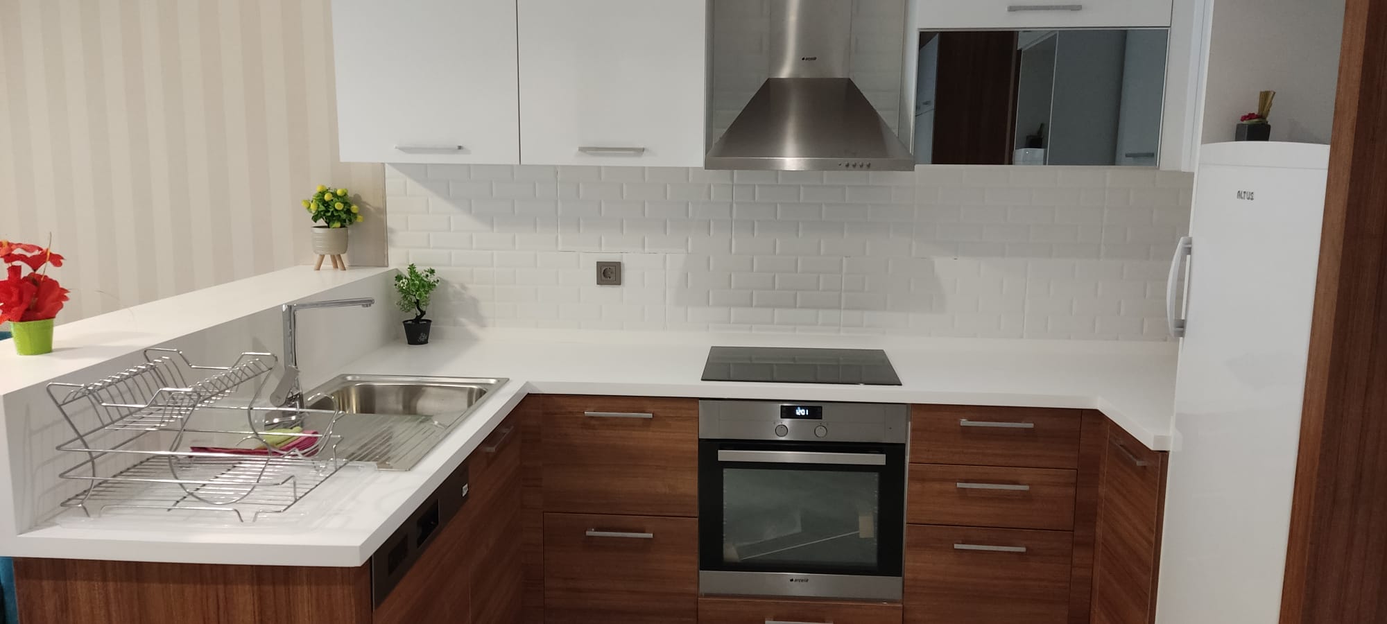 Fully furnished room and hall