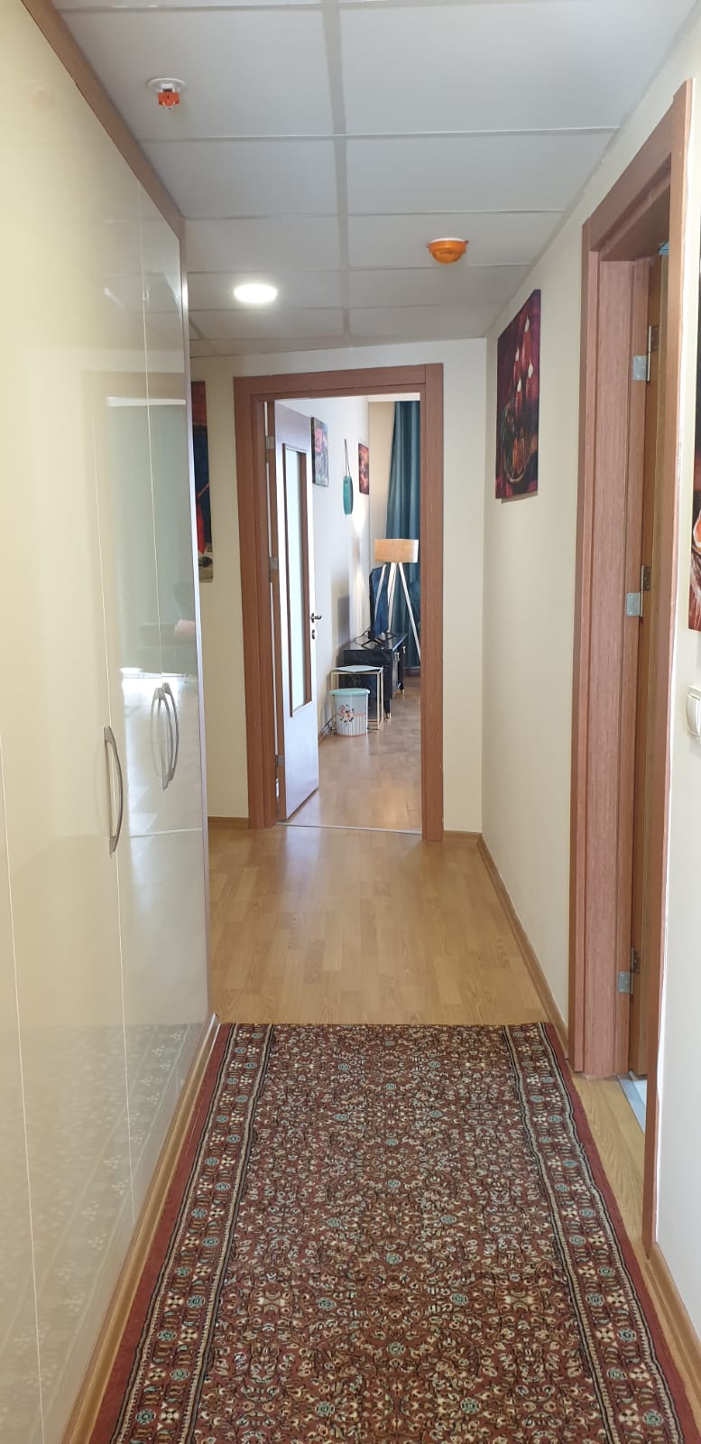 Super deluxe furnished apartment for rent