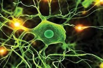 The world's first 3D printed neural tissue grows and functions like a human brain.